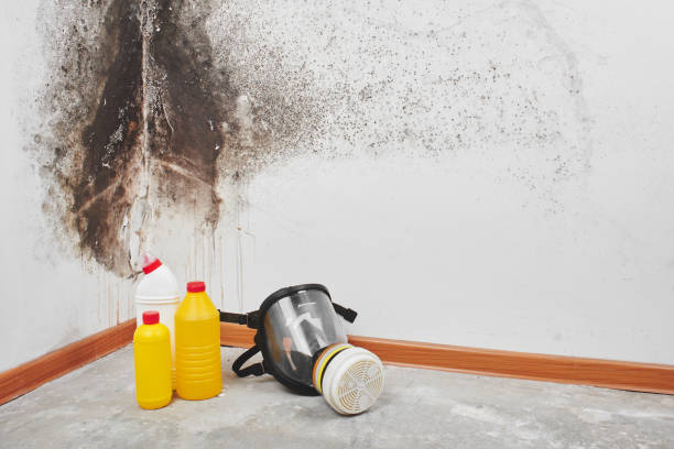 Best Office Mold Removal Services  in Ahtanum, WA