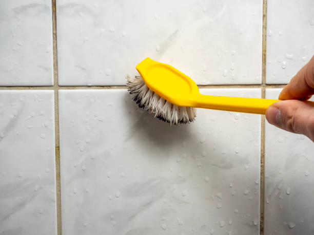 Best Home Mold Removal  in Ahtanum, WA