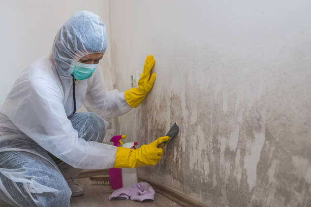 Best Emergency Mold Removal  in Ahtanum, WA
