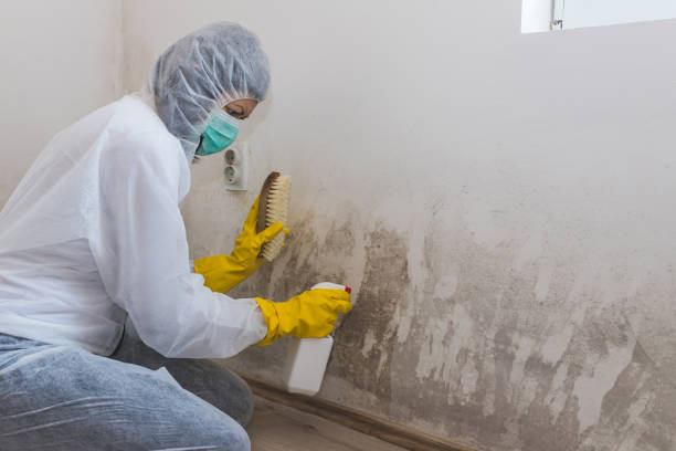 Best Water Damage Restoration  in Ahtanum, WA