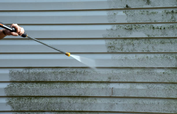 Certified Mold Removal in Ahtanum, WA