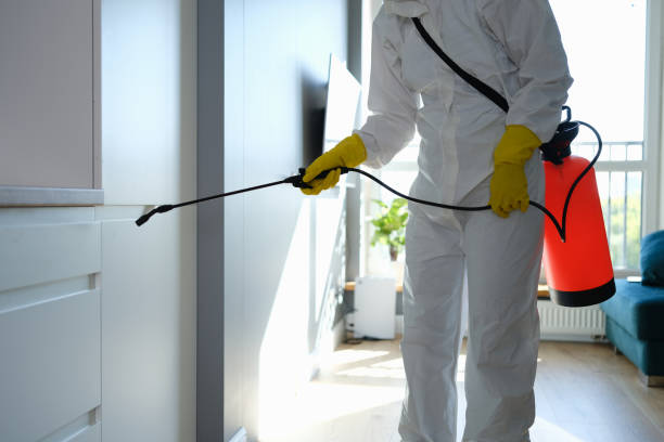 Best Affordable Mold Removal  in Ahtanum, WA