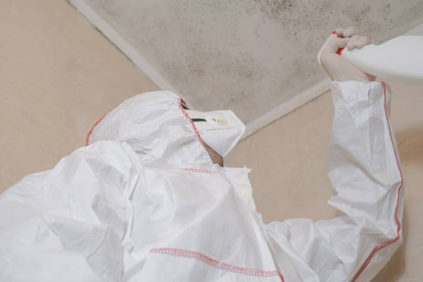 Best Water Damage Restoration  in Ahtanum, WA