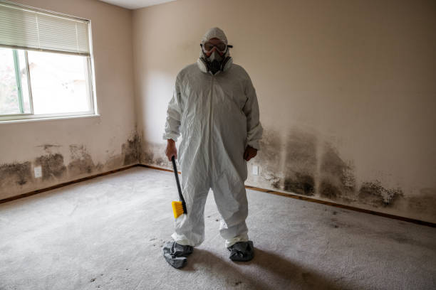 Best Mold Cleaning Services  in Ahtanum, WA